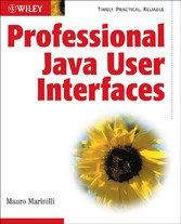 Professional Java User Interfaces