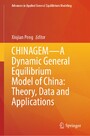CHINAGEM-A Dynamic General Equilibrium Model of China: Theory, Data and Applications
